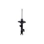 FCS Struts 331660R Suspension Strut
