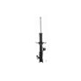 FCS Struts 331676L Suspension Strut