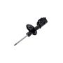 FCS Struts 331679L Suspension Strut