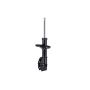 FCS Struts 331679R Suspension Strut