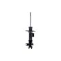 FCS Struts 331696L Suspension Strut