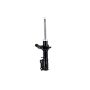 FCS Struts 331702R Suspension Strut