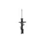FCS Struts 331705R Suspension Strut