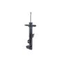 FCS Struts 331714L Suspension Strut