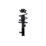 FCS Struts 331714R Suspension Strut