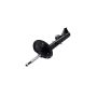 FCS Struts 331714R Suspension Strut