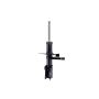 FCS Struts 331721L Suspension Strut