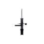 FCS Struts 331721R Suspension Strut