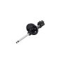 FCS Struts 331743R Suspension Strut