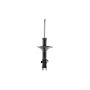FCS Struts 331760L Suspension Strut