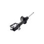 FCS Struts 331788R Suspension Strut
