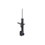 FCS Struts 331796R Suspension Strut