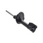 FCS Struts 331796R Suspension Strut