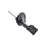 FCS Struts 331799R Suspension Strut