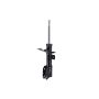 FCS Struts 331818 Suspension Strut