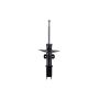 FCS Struts 331818 Suspension Strut