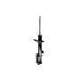 FCS Struts 331828L Suspension Strut