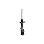 FCS Struts 331828R Suspension Strut