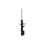 FCS Struts 331829R Shock Absorber