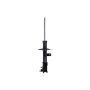 FCS Struts 331829R Shock Absorber
