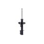 FCS Struts 331831L Suspension Strut