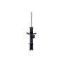 FCS Struts 331831L Suspension Strut