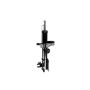 FCS Struts 331847L Suspension Strut