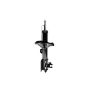 FCS Struts 331847R Suspension Strut