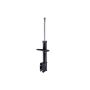 FCS Struts 331867 Suspension Strut