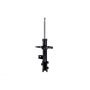 FCS Struts 331909R Suspension Strut