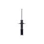FCS Struts 332301 Suspension Strut