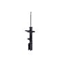 FCS Struts 332306R Suspension Strut