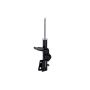 FCS Struts 332308 Suspension Strut