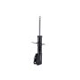 FCS Struts 332317 Suspension Strut