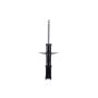 FCS Struts 332317 Suspension Strut