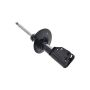 FCS Struts 332317 Suspension Strut