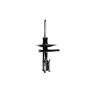 FCS Struts 332321R Suspension Strut