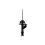 FCS Struts 332329 Suspension Strut