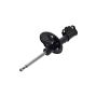FCS Struts 332341R Suspension Strut