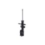 FCS Struts 332356 Suspension Strut