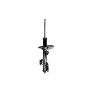 FCS Struts 332366L Suspension Strut