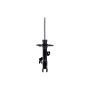 FCS Struts 332367L Suspension Strut