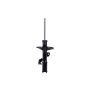 FCS Struts 332368L Suspension Strut
