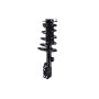 FCS Struts 3331582L Suspension Strut and Coil Spring Assembly