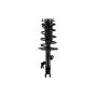 FCS Struts 3331582L Suspension Strut and Coil Spring Assembly