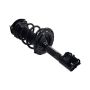 FCS Struts 3331582L Suspension Strut and Coil Spring Assembly