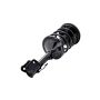 FCS Struts 3331595L Suspension Strut and Coil Spring Assembly