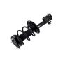 FCS Struts 3331622R Suspension Strut and Coil Spring Assembly