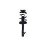 FCS Struts 3331623L Suspension Strut and Coil Spring Assembly