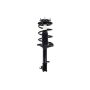 FCS Struts 3331623L Suspension Strut and Coil Spring Assembly